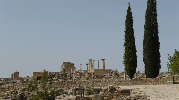 Roman ruins of Volubilis: stone columns and two tall cypresses under blue sky