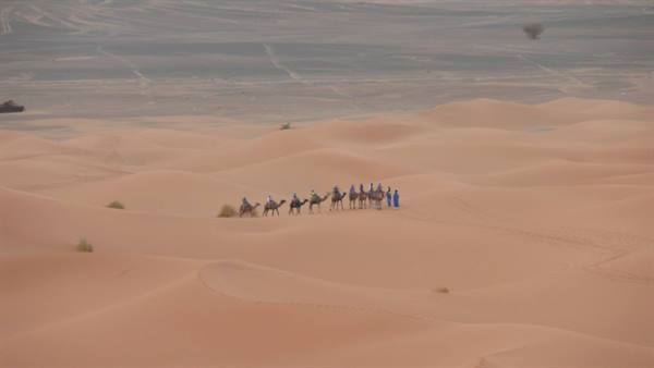 Camel caravan with tourists crossing sandy dunes led by blue-robed guide