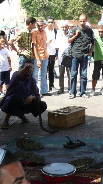 Snake charmer crouching with cobra and drum, crowd watching at Jemaa el-Fnaa