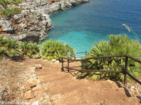 Dirt steps with wooden railing descend to turquoise cove among dwarf palms and rocks