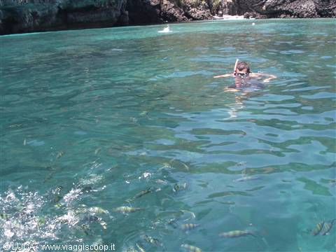 Me snorkelling - Ko Phi Phi