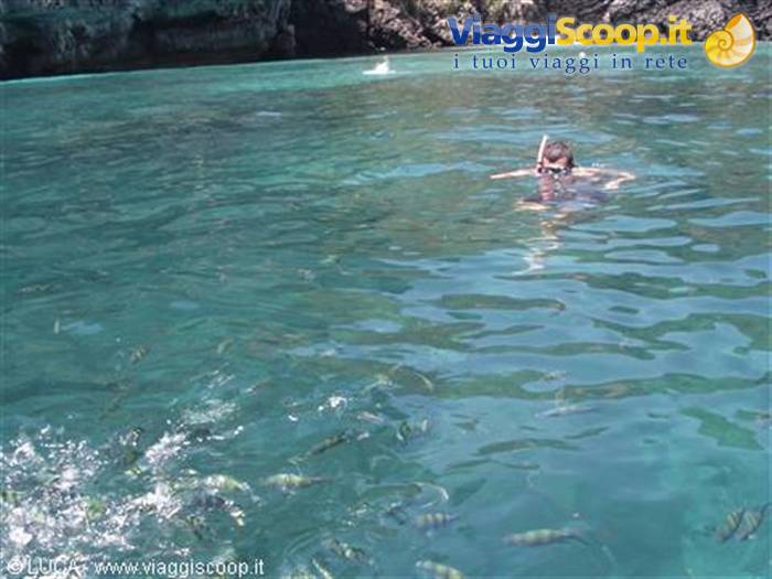 Me snorkelling - Ko Phi Phi