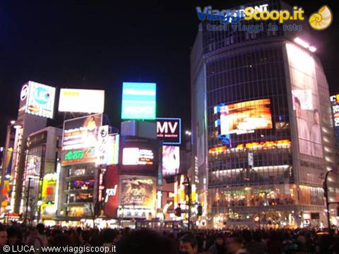 The incredible district of Shibuya