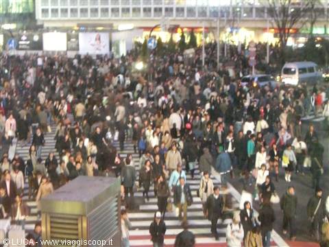 Shibuya...pedestrian crossing!!!