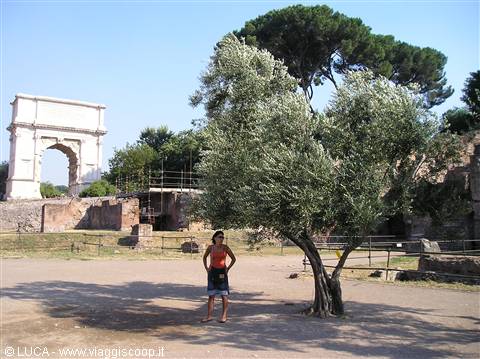 Imperial Forums, Yoli and arch of Titus