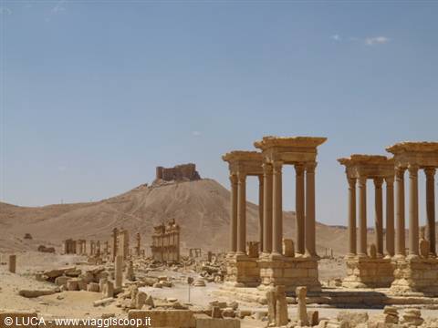 Palmyra - Panoramic view