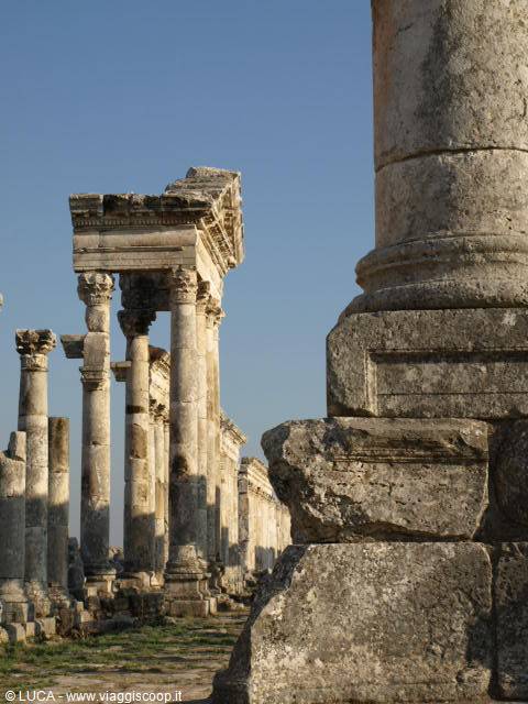 The wonderful Apamea...