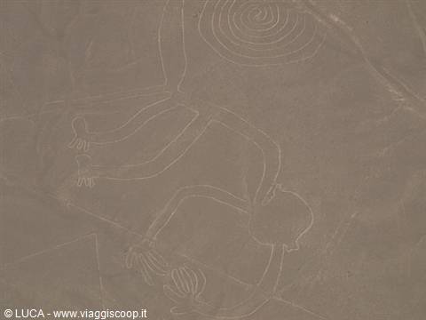Nazca Lines - The Monkey