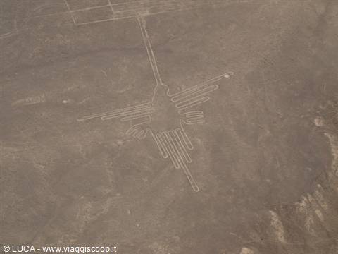 Nazca Lines - The Hummingbird