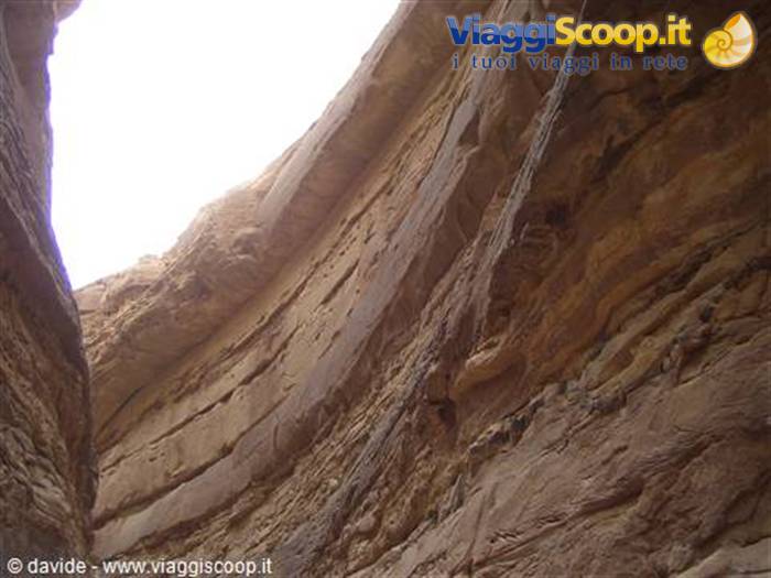 in the depths of the desert