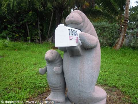 mailbox in Key Largo