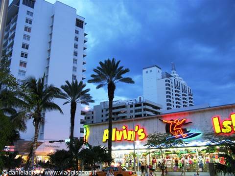 Miami - Alvin's