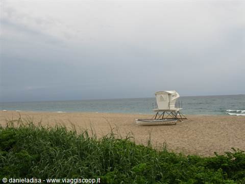 Palm Beach