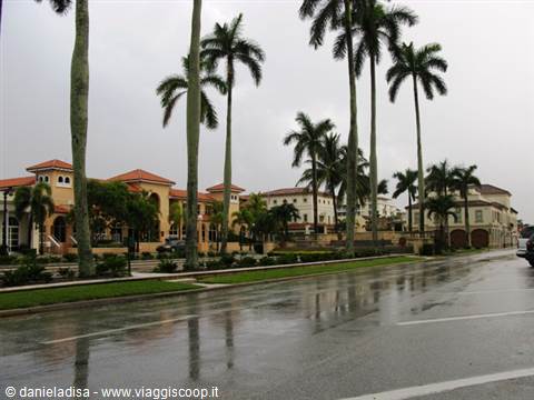 Palm Beach