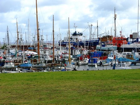 GILLELEJE