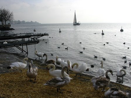 VEVEY