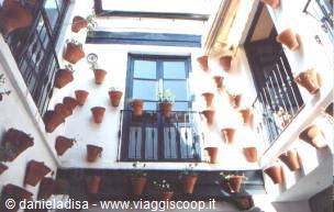 Cordoba - patio
