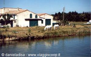 Aigues Mortes – view from the canals