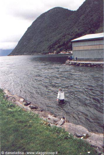 Vik