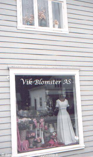 Vik, shop window