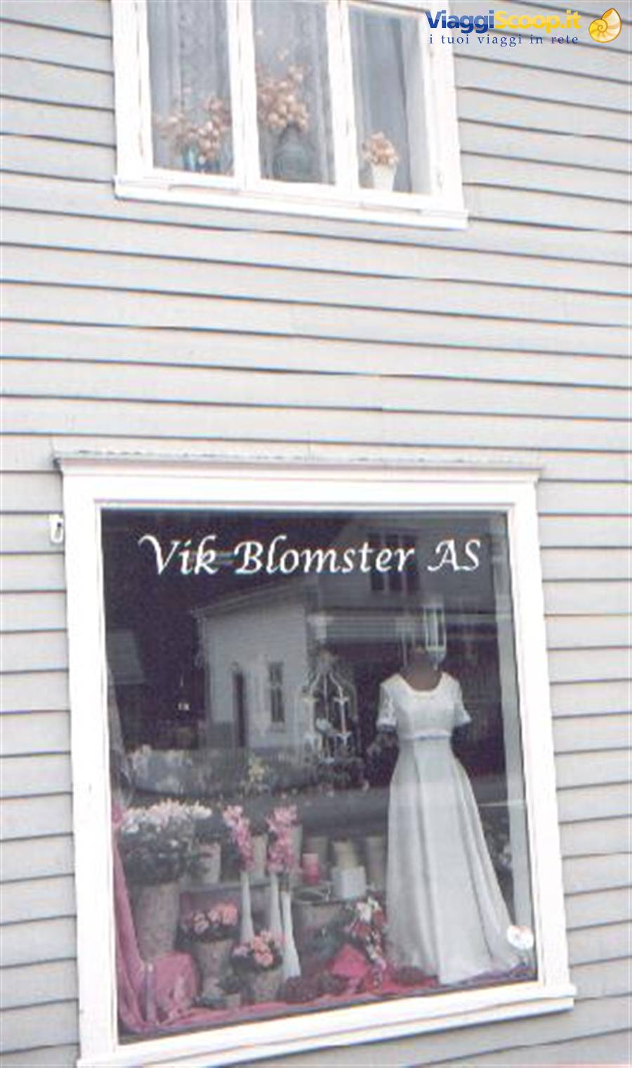 Vik, shop window