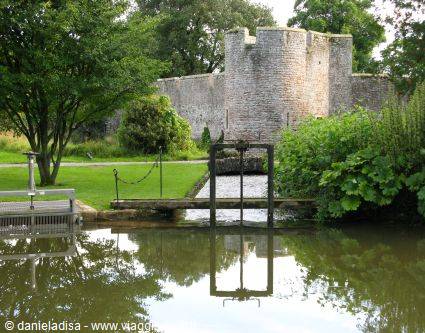 Wells: the well 