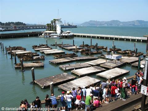 San Francisco - Pier 39