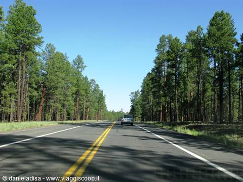 between Flagstaff and the Grand Canyon