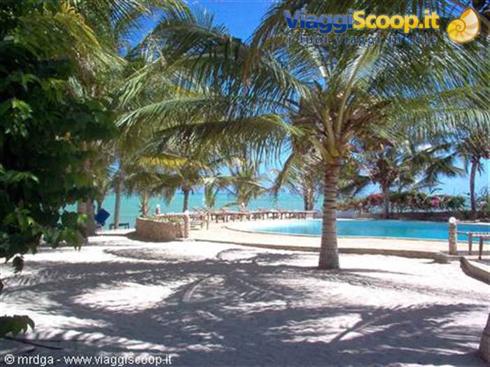 the pool of the Jacaranda