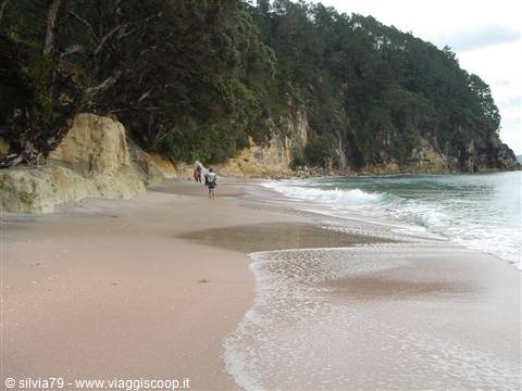 Two walkers on golden sand between cliffs and forest, Cathedral Cove