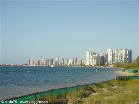 Beach with green fence in front of waterfront skyscrapers