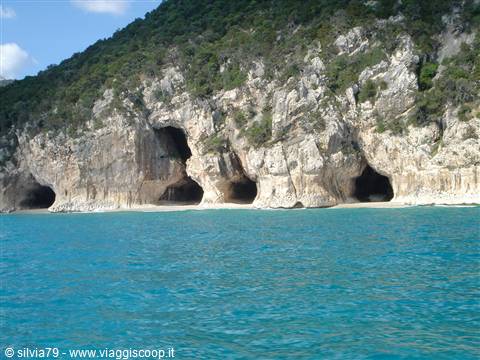 The monk seal caves