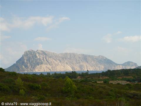 Tavolara