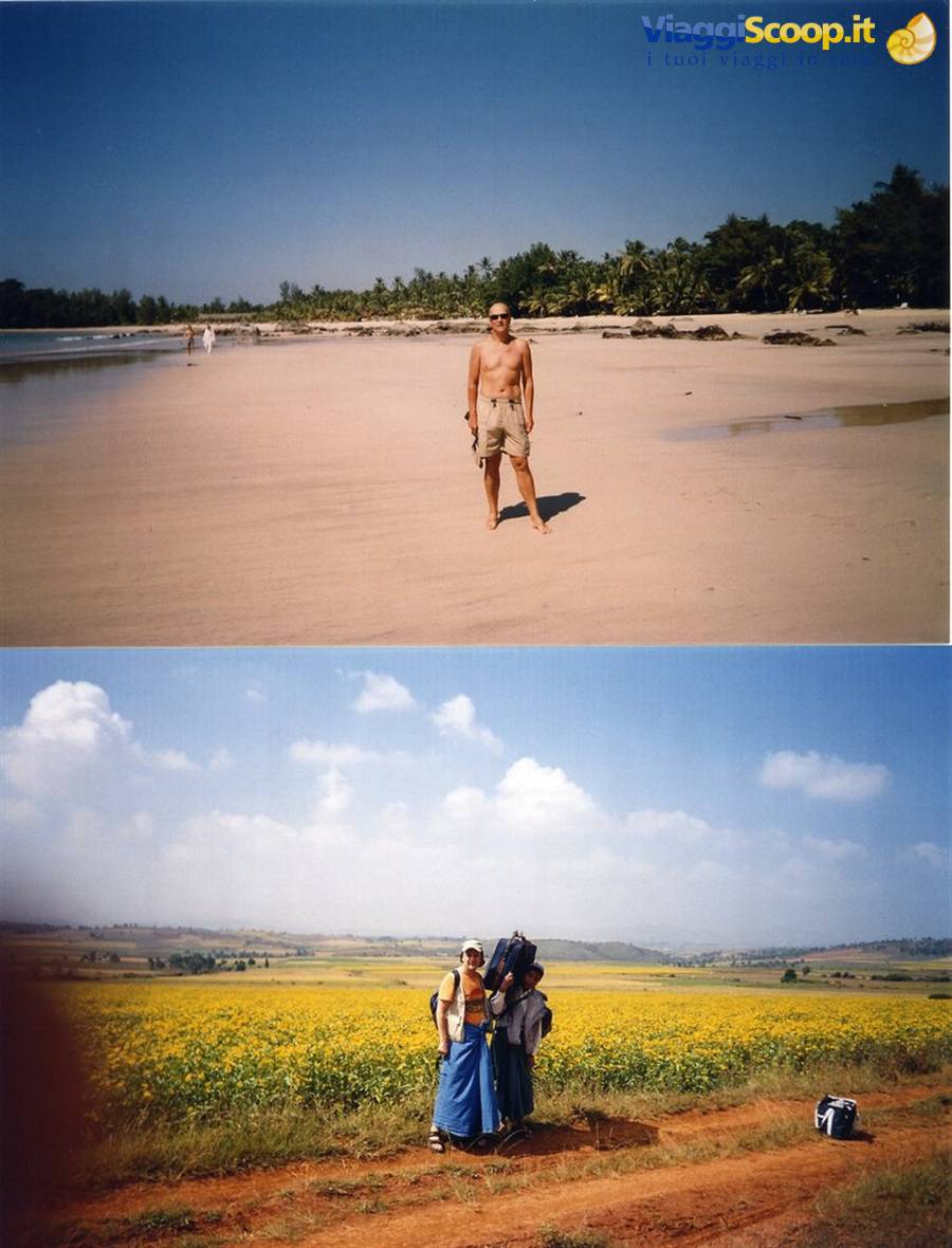 Tourist on beach and two backpackers posing beside yellow fields