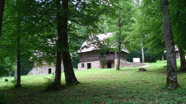 Wooden and stone rural house with shingle roof among green trees