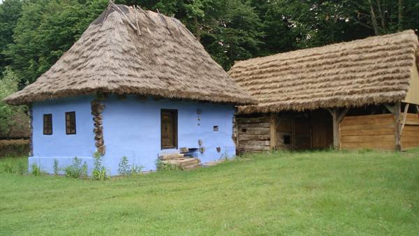 Blue peasant house with thatched roof beside wooden barn, green meadow
