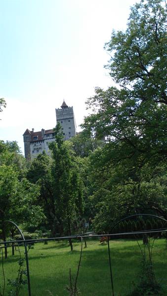 Bran Castle rises above the green trees and the fenced meadow