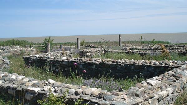 Ancient stone ruin walls among wildflowers in front of the sea