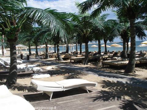 kitsch beach in Varna with plastic palms