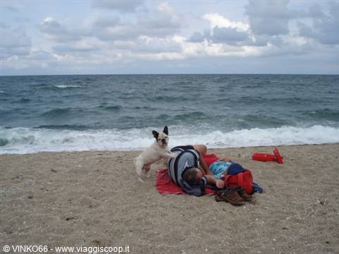 comic scene on the beach in Sinemorets