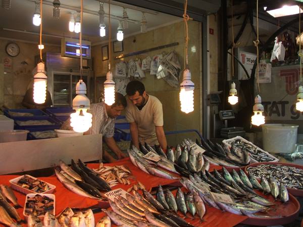 fish at the market