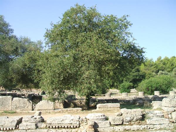 Katakolon - ruins