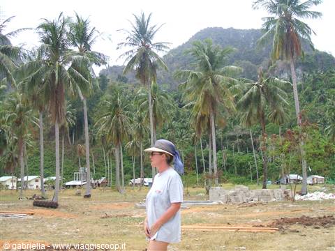 Woman in sun hat among coconut palms and beachside huts