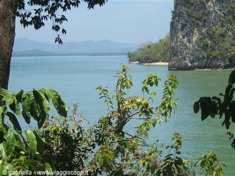 Turquoise sea framed by green bushes and limestone cliff, beach below