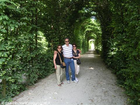 Three tourists posing in the green hornbeam tunnel at Schönbrunn