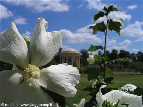 Versailles. Temple of love