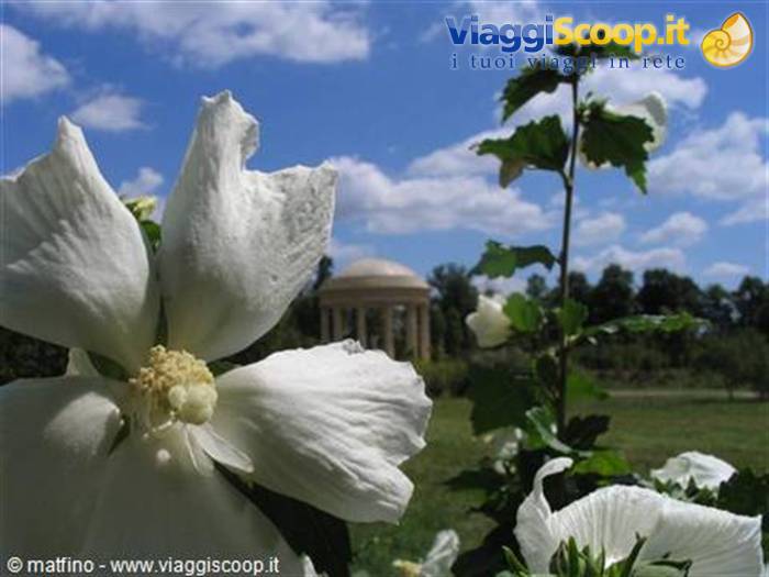 Versailles. Temple of love