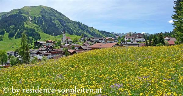 Berwang, alpine meadow in bloom