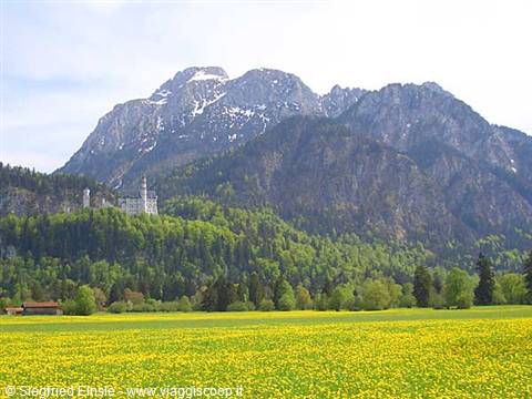 Neuschwanstein castle in spring