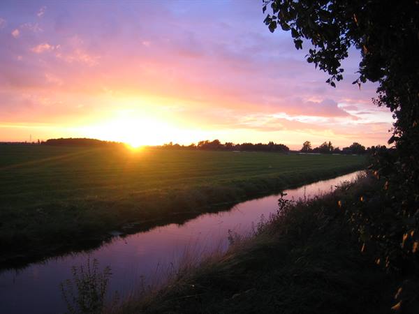 low sun over green meadow and narrow canal, pink and violet clouds